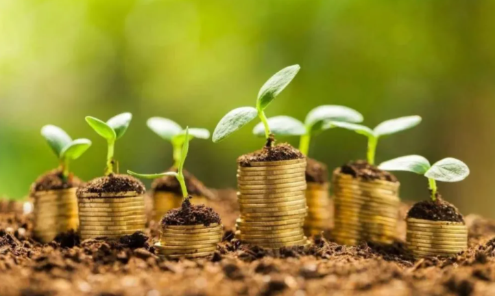 兩會前瞻 | “碳中和”概念下的投資機會